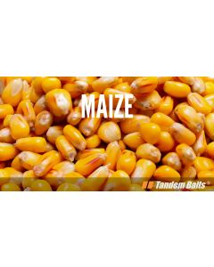 Carp Food Prepared Maize 10kg Natural